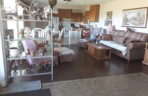 Adjala-Tosorontio House | Peaceful Retreat on Horse Farm that welcomes dogs!