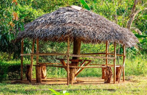 Anuradhapura Resort | Peacock Resort