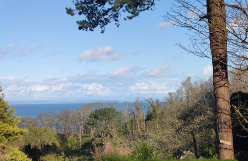 Saundersfoot Apartment | Pebbles Superb Apartment/Woodland & Sea View/Short Walk Beach/Free Parking &WiFi
