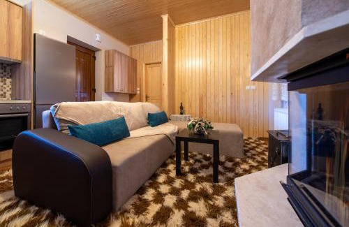 Metsovo House | Pefkos House