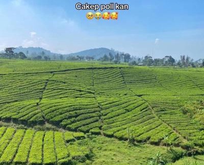 Pangalengan Other | Penginapan segitiga