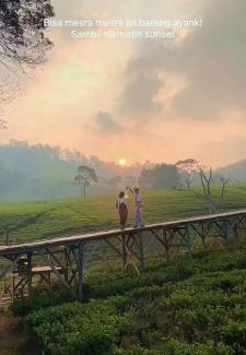 Pangalengan Other | Penginapan segitiga