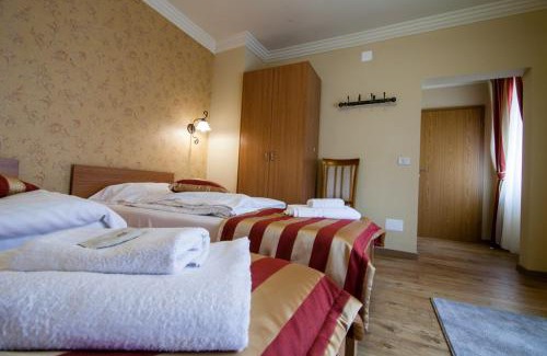 Timisoara House | Pension Andronic