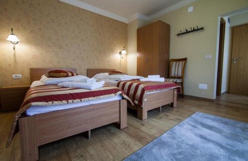 Timisoara House | Pension Andronic