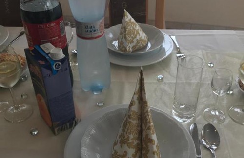 Diakovce House | PENSION EUROP**
