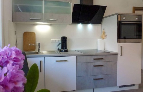 Steinach Apartment | Pension Himmelsbach by Interhome