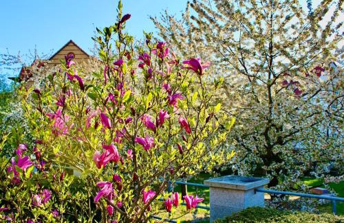 Bad Suderode House | Pension Kurhausblick