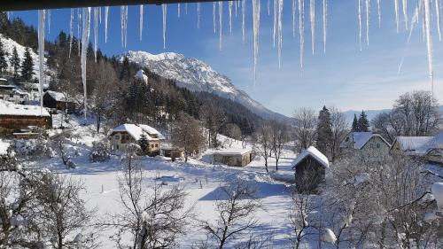 Notsch im Gailtal House | Pension Leano