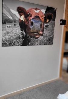 Munchen District House | Pension Schlafstuhl