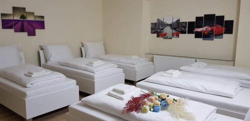 Plana House | Pension TV