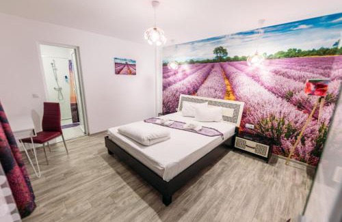 Hunedoara House | Pensiune Carpați