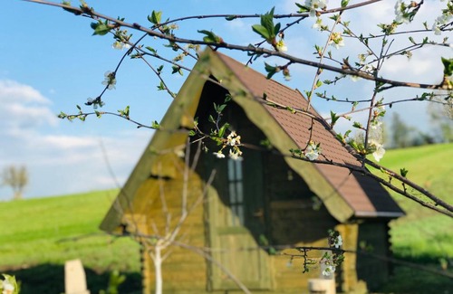 Crit Bed & Breakfast | Pensiune Rozalia - Camping