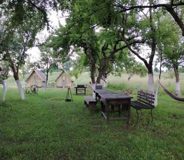 Crit Bed & Breakfast | Pensiune Rozalia - Camping
