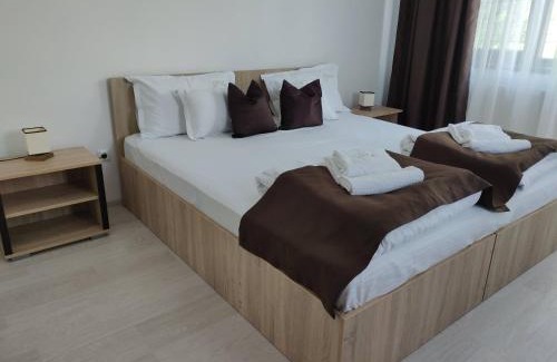 Pucioasa House | Pensiunea Alesia