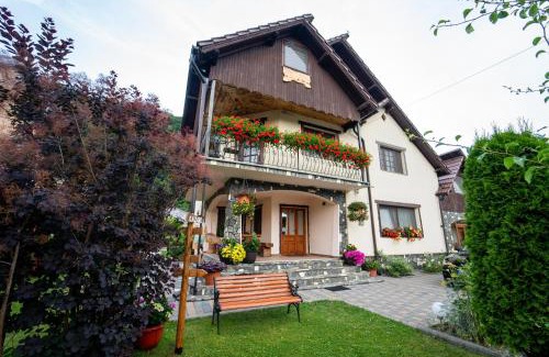 Vama Buzaului House | Pensiunea Alina