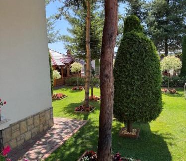 Brad House | Pensiunea Ana Maria