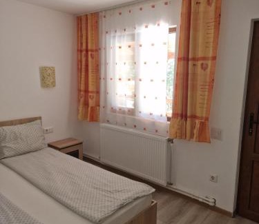 Baile Herculane House | Pensiunea Armonia