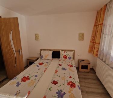 Baile Herculane House | Pensiunea Armonia