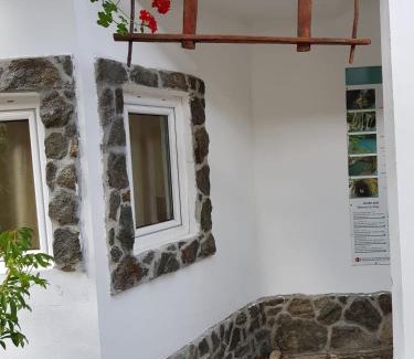 Sasca Montana House | Pensiunea Casa montana