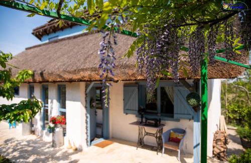 Somova House | Pensiunea Casa Varvara