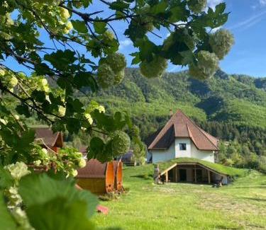 Vidra House | Pensiunea Dealul cu Melci