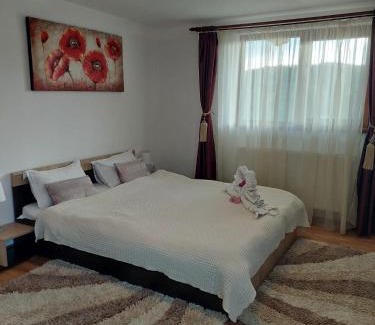 Certeju de Sus House | Pensiunea Doina
