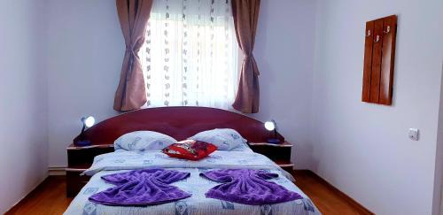 Dambovicioara House | Pensiunea Gaby
