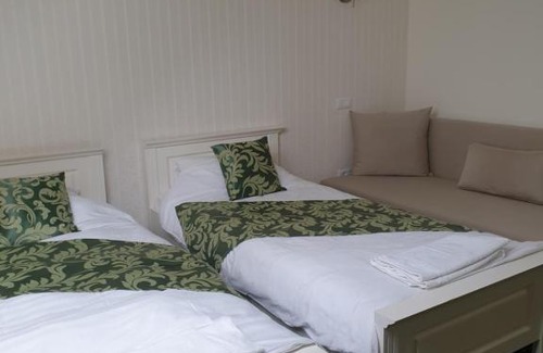 Becicherecu Mic House | Pensiunea Gradina Verde