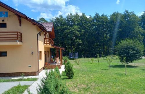 Orastioara de Sus Villa | Pensiunea Inima Daciei