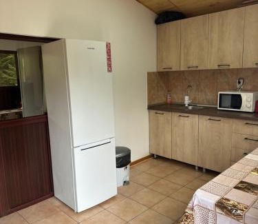 Magiresti Other | Pensiunea Ionela