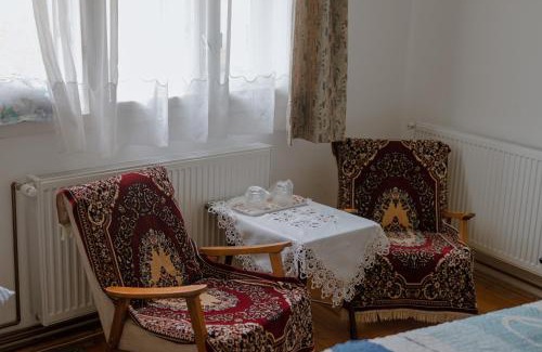 Pietroasa House | Pensiunea La Maison Verte