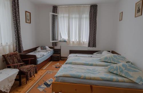 Pietroasa House | Pensiunea La Maison Verte