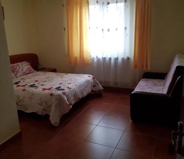 Oestii Paminteni House | Pensiunea Patricia