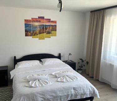 Vatra Dornei House | Pensiunea Poiana Dornei