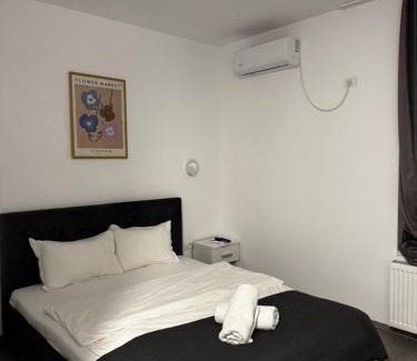 Semlac House | Pensiunea Rodica