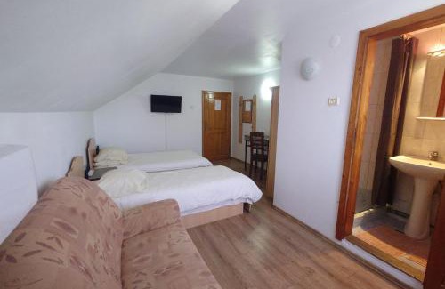 Arad House | Pensiunea San