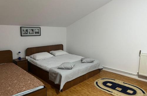 Fieni House | Pensiunea Soreanca