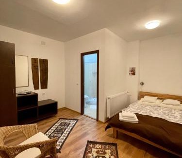 Girbova House | Pensiunea Tudor