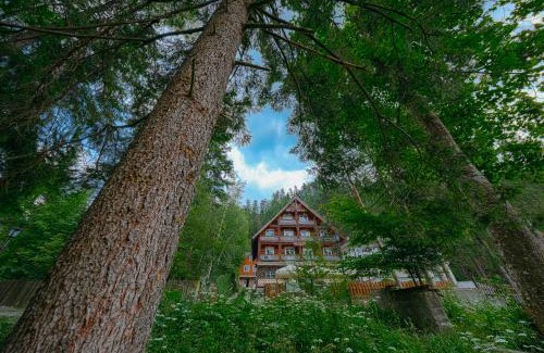 Baile Tusnad House | Pensiunea Vanatorul
