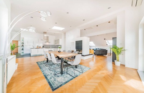 Funfhaus Apartment | Penthouse big apartment with Sauna and Kamin