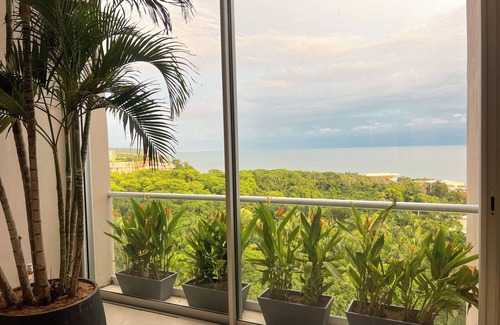 La Puntilla Apartment | Penthouse BOLONGO