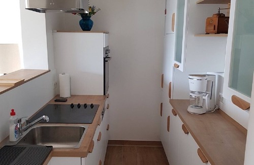 Bad Hoenningen Apartment | Penthouse directly on the Rhine with a 100m2 roof terrace near the Eifel & Westerwald