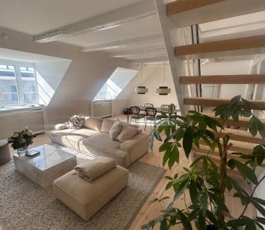 Copenhagen K Apartment | Penthouse doublex w water view