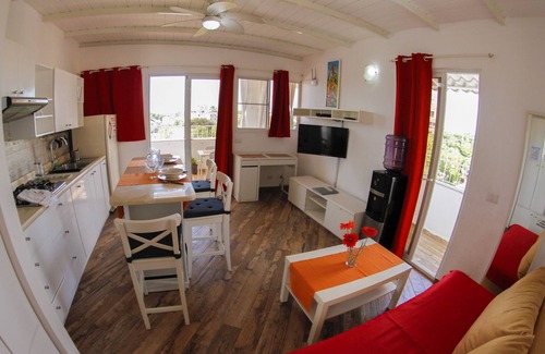 Caribbean Islands Apartment | Penthouse with Ocean View and Pool APT 30