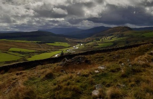 Bronaber Other | Penystryd
