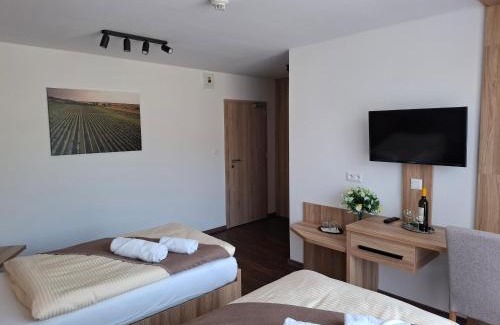 Streda nad Bodrogom House | Penzión Vínny Dom