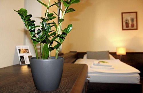 Nitra House | Penzión & Wellness Zoborská
