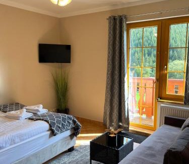 Horni Lomna House | Penzion Bawaria