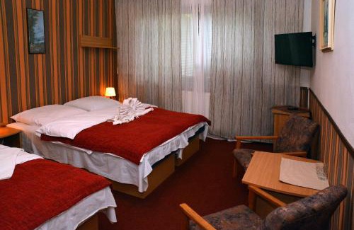 Hlinsko Hotel | Penzion Horalka
