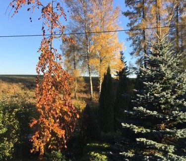 Kunvald Cabin | Penzion Kunvald Končiny